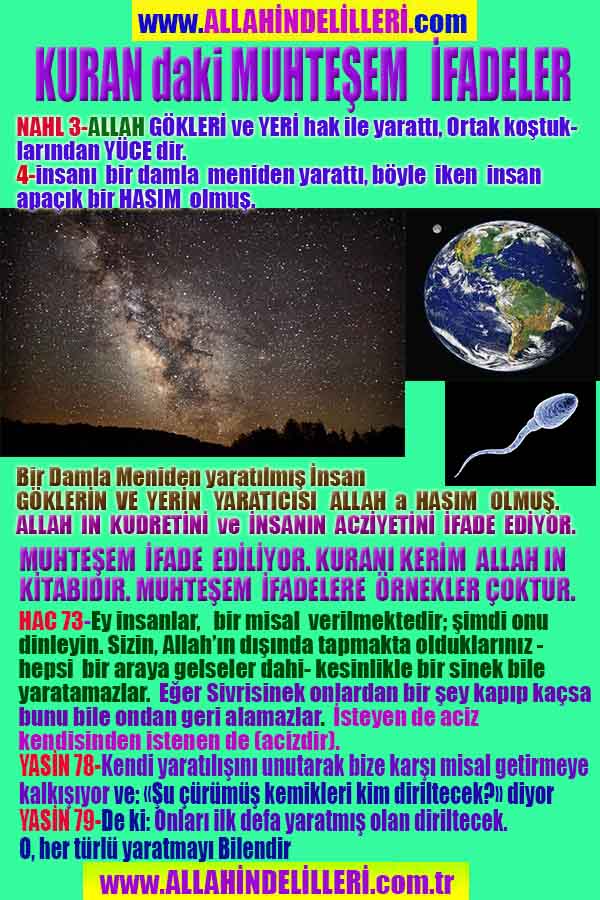 Resim 1