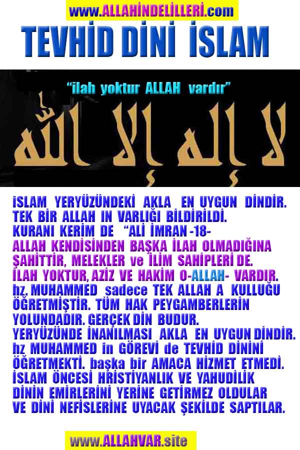 Resim 1