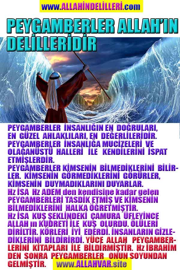 Resim 6