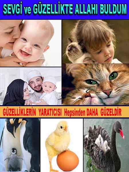 Resim 12