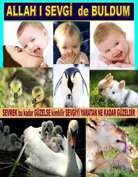 Resim 13