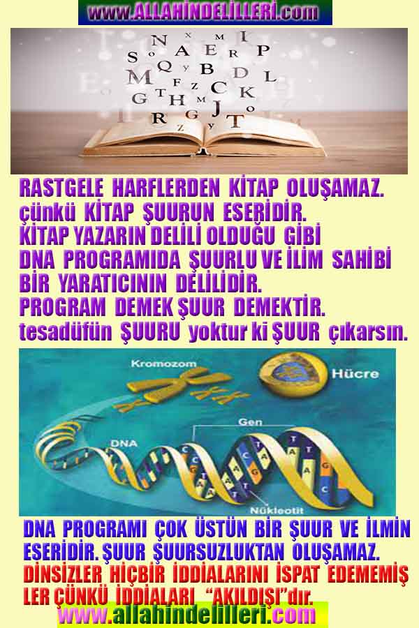 Resim 10