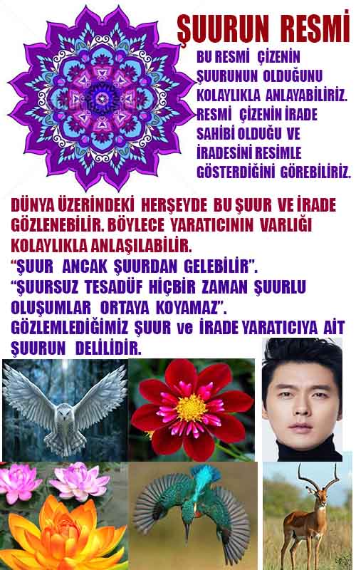 Resim 1