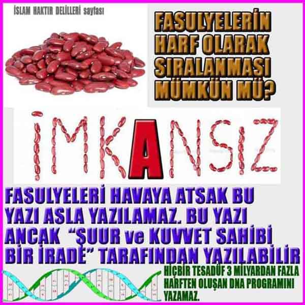 Resim 2