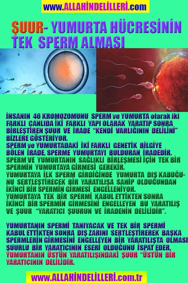 Resim 2