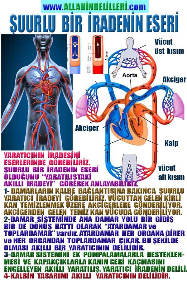 Resim 6