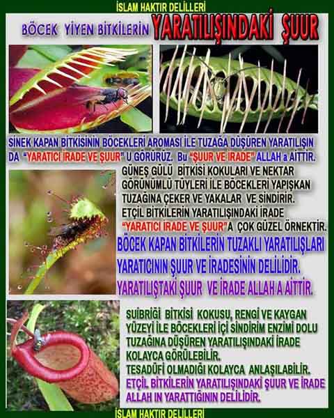 Resim 8