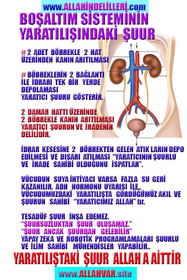 Resim 1