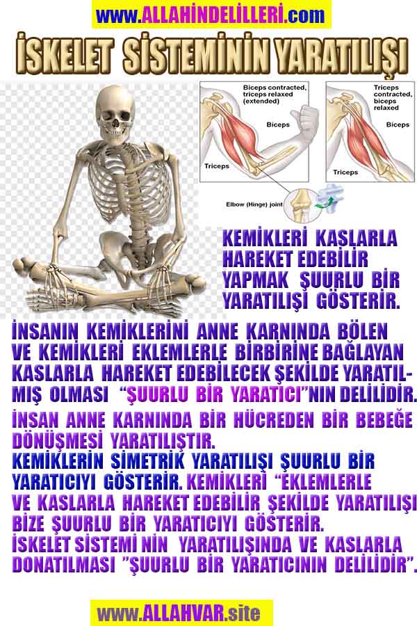 Resim 1