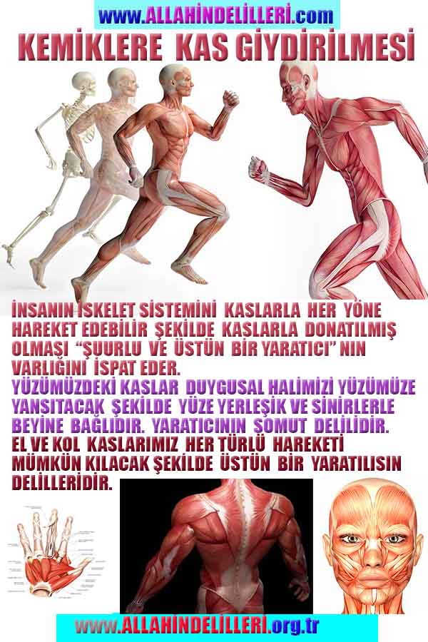 Resim 2