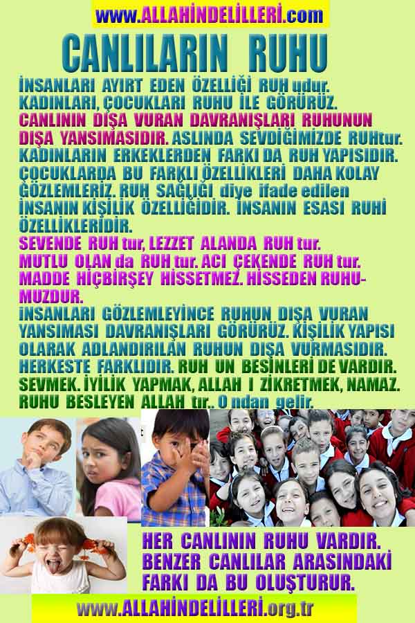 Resim 6
