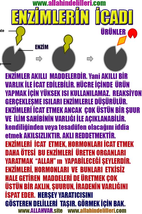 Resim 4