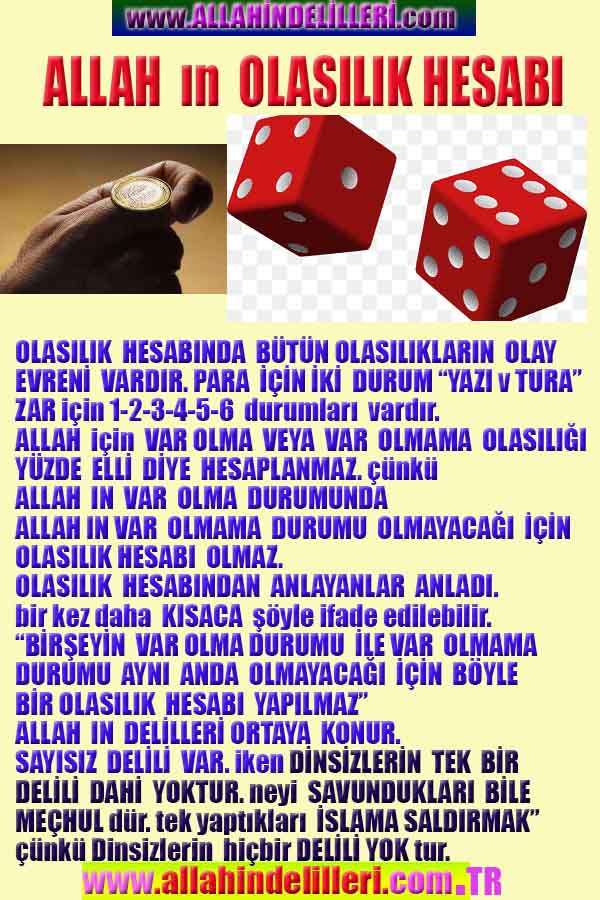 Resim 8
