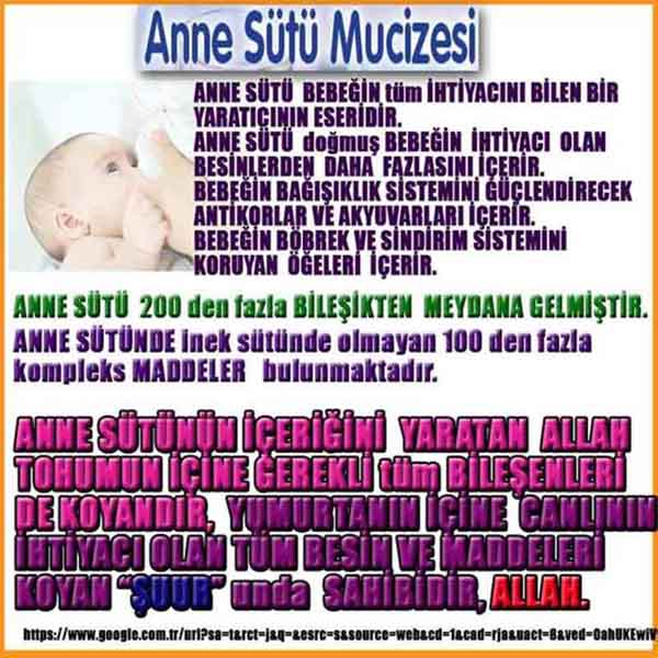 Resim 1