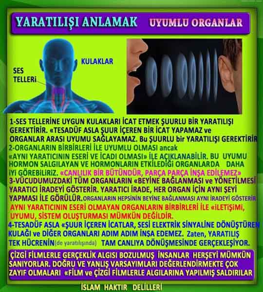 Resim 1