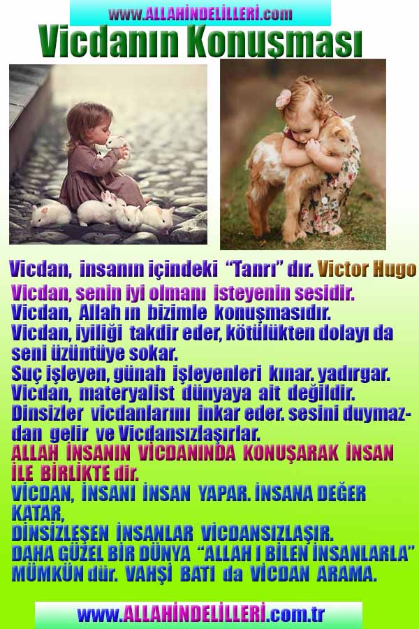 Resim 1